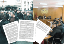 Këshilltarët e opozitës në Bulqizë denoncojnë procedurat për dhënien në përdorim të pyjeve dhe kullotave, po jepen me nxitim dhe me fitues të paracaktuar