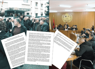 Këshilltarët e opozitës në Bulqizë denoncojnë procedurat për dhënien në përdorim të pyjeve dhe kullotave, po jepen me nxitim dhe me fitues të paracaktuar